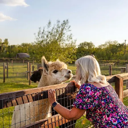 بيت للعطل Hidden Acres مالاهايد