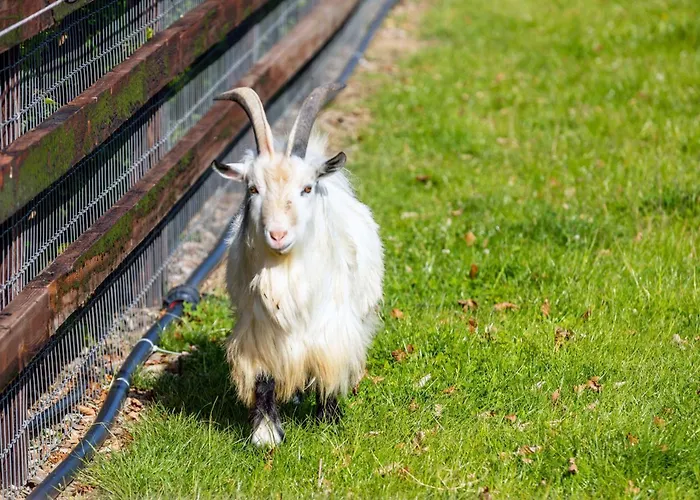 Hidden Acres * Malahide