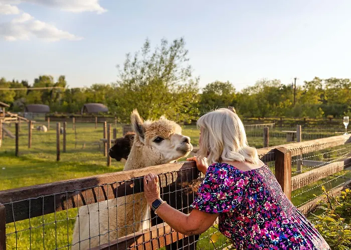 Дом отдыха Hidden Acres Малахайд