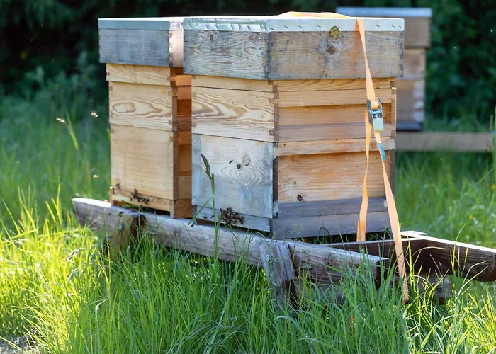 Feriehus Hidden Acres